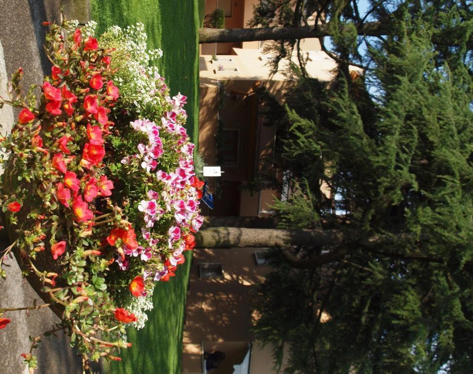 Residence La Madonnina Peschiera del Garda Exterior photo